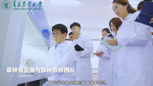 欢迎报考青岛农业大学草业学院