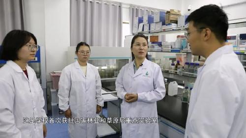 盐碱地播种希望 |青岛农业大学草业学院的报国答卷