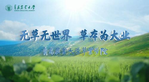 “别再说草业是'种草'了｜草业学院招生视频首发”